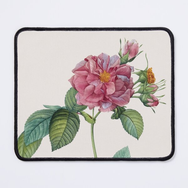 Item preview, Rosa Turbinata | Rose of Frankfurt | Pierre Joseph Redouté | Vintage Botanical Art Print designed and sold by LaMadeleine.