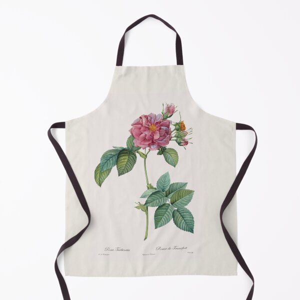 Item preview, Rosa Turbinata | Rose of Frankfurt | Pierre Joseph Redouté | Vintage Botanical Art Print designed and sold by LaMadeleine.