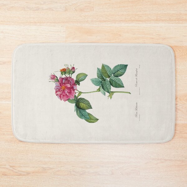 Item preview, Rosa Turbinata | Rose of Frankfurt | Pierre Joseph Redouté | Vintage Botanical Art Print designed and sold by LaMadeleine.