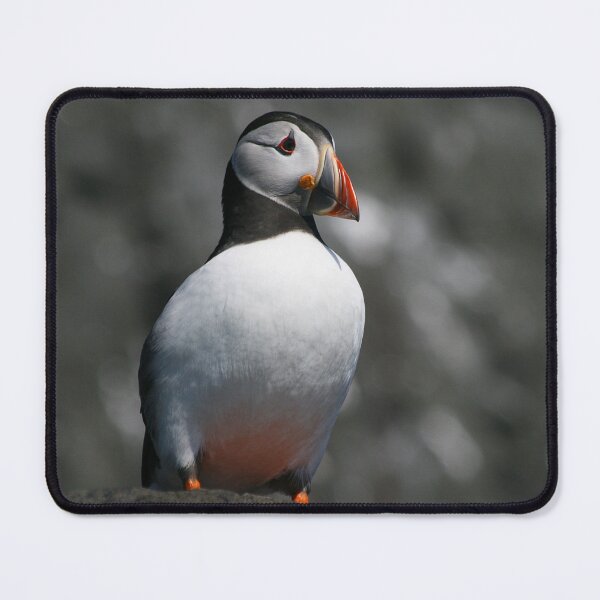 Item preview, Puffin His Chest Out! designed and sold by CharlotteMorse.