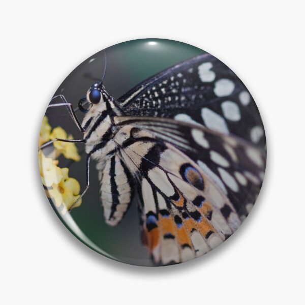 Item preview, Citrus Swallowtail Butterfly designed and sold by Krys Bailey.