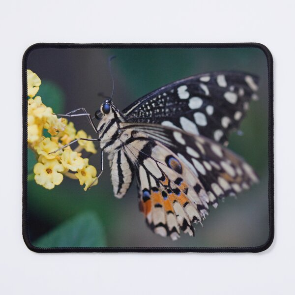 Item preview, Citrus Swallowtail Butterfly designed and sold by Krys Bailey.