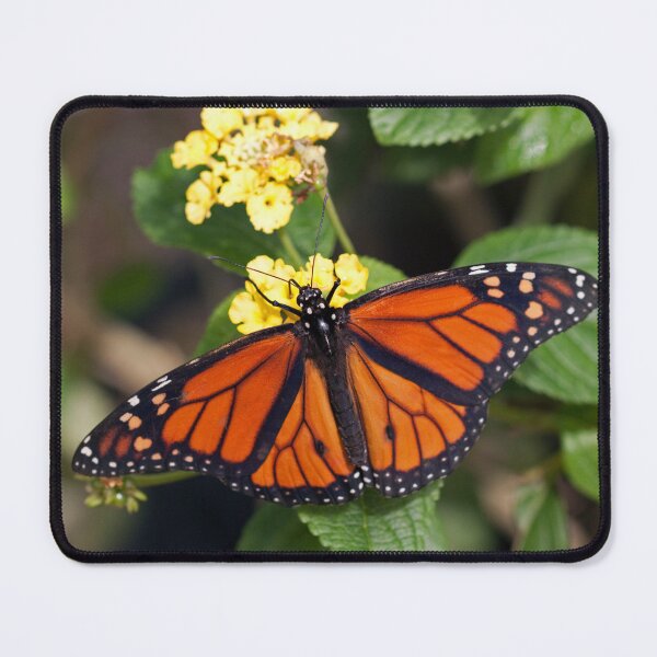 Item preview, Monarch Butterfly designed and sold by Krys Bailey.