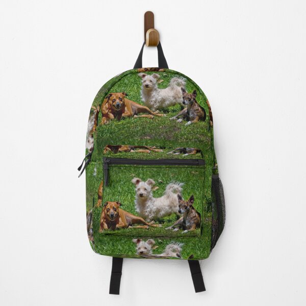 Item preview, Doggies At Siesta Time designed and sold by alabca.