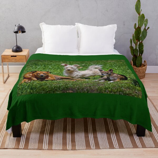 Item preview, Doggies At Siesta Time designed and sold by alabca.