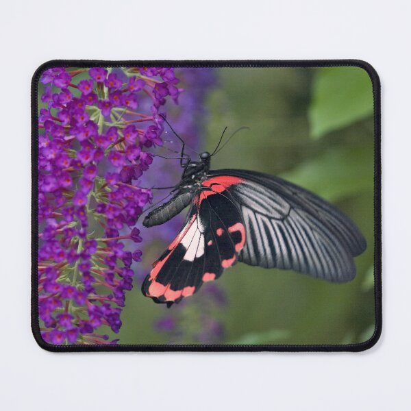Item preview, Scarlet Swallowtail designed and sold by Krys Bailey.