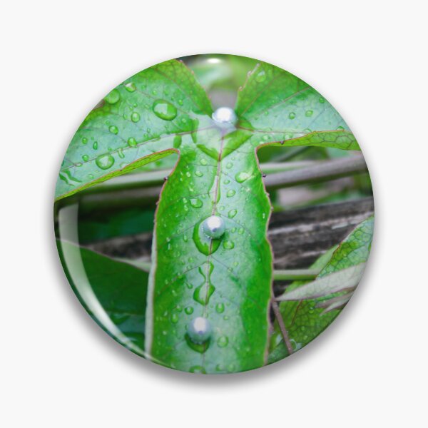 Item preview, Drops on the leaf designed and sold by JosephineJosipa.