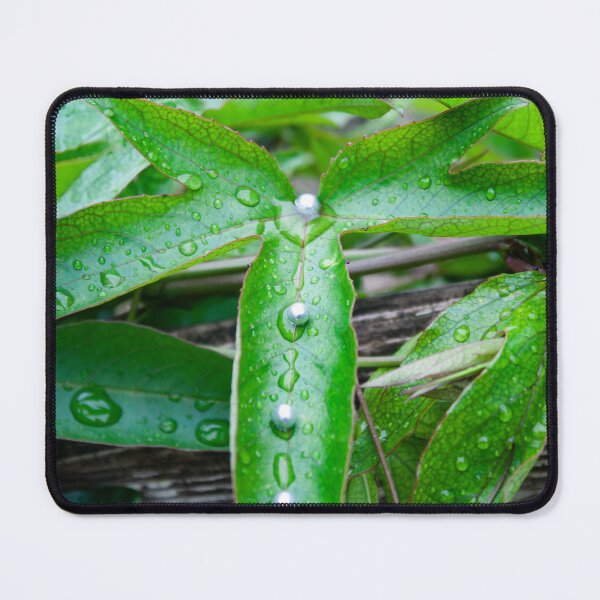 Item preview, Drops on the leaf designed and sold by JosephineJosipa.