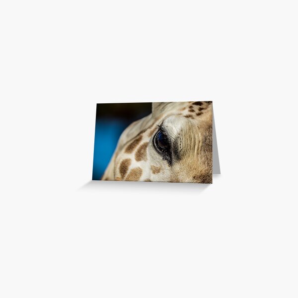 Giraffe Eye Greeting Card