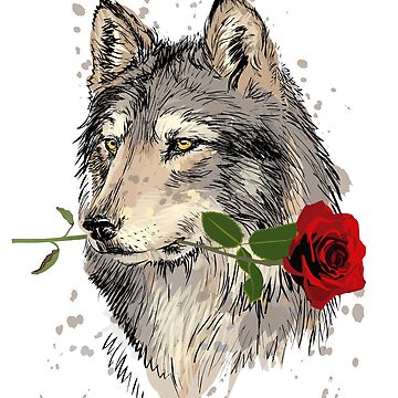 Popular THE WOLF & THE ROSE