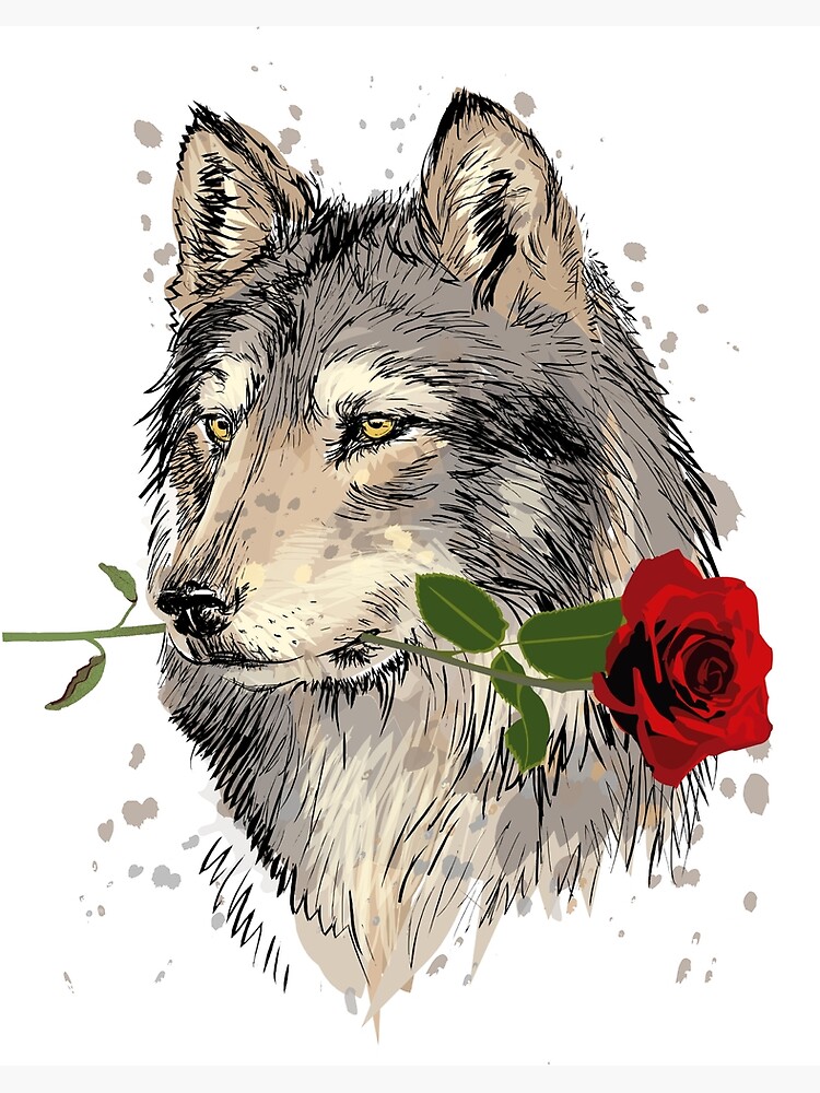 THE WOLF orders & THE ROSE