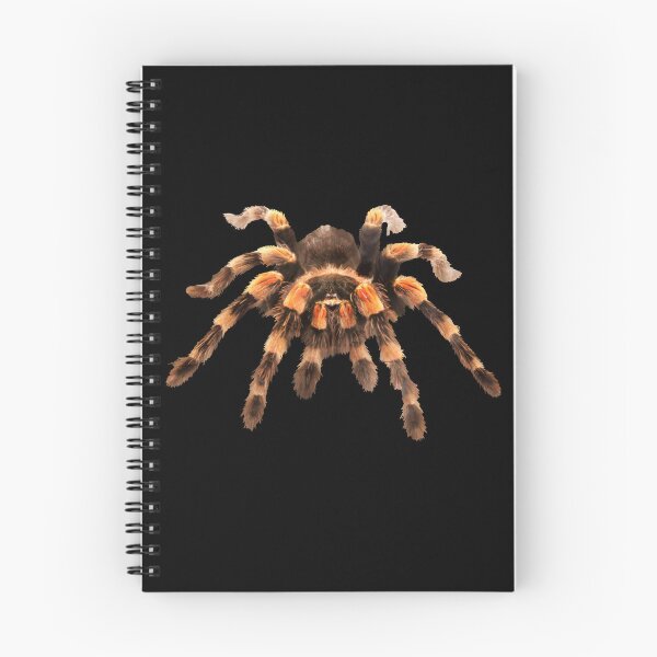 Item preview, TARANTULA, MEXICAN RED KNEE TARANTULA  designed and sold by Danicus666.