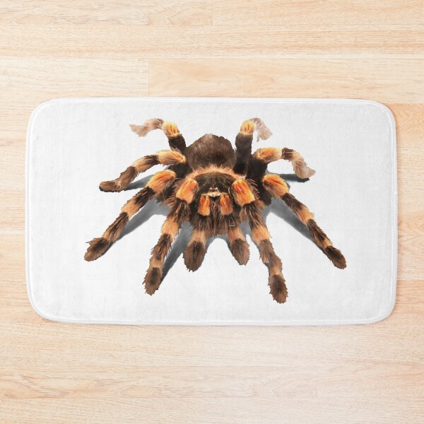 Item preview, TARANTULA, MEXICAN RED KNEE TARANTULA  designed and sold by Danicus666.
