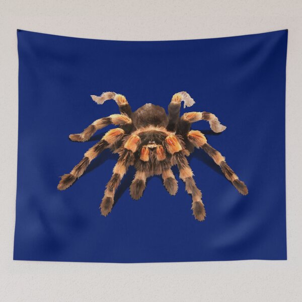 Item preview, TARANTULA, MEXICAN RED KNEE TARANTULA  designed and sold by Danicus666.