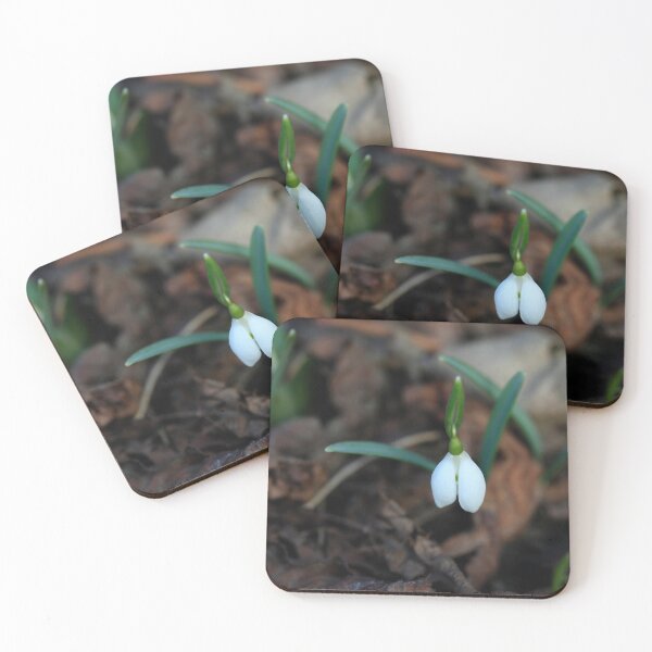 Item preview, First snowdrop on nature background designed and sold by olena2552.