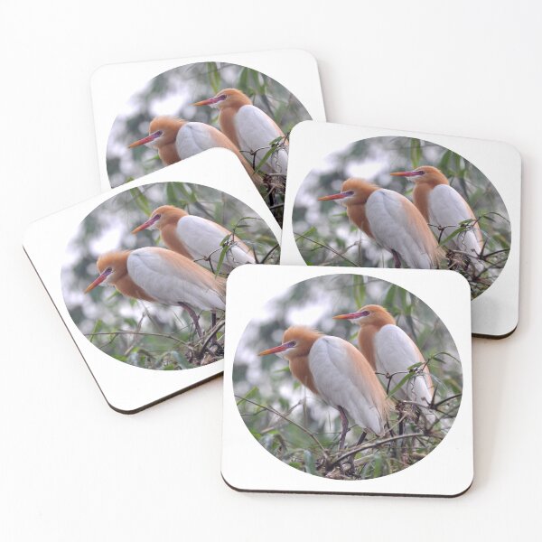Item preview, A Couple of Cattle Egret. designed and sold by kstanvir.