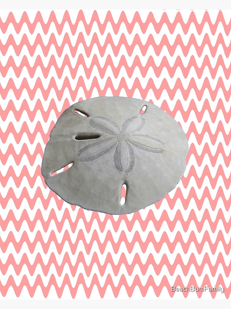 Sand Dollar Pink Waves by BeachBumFamily