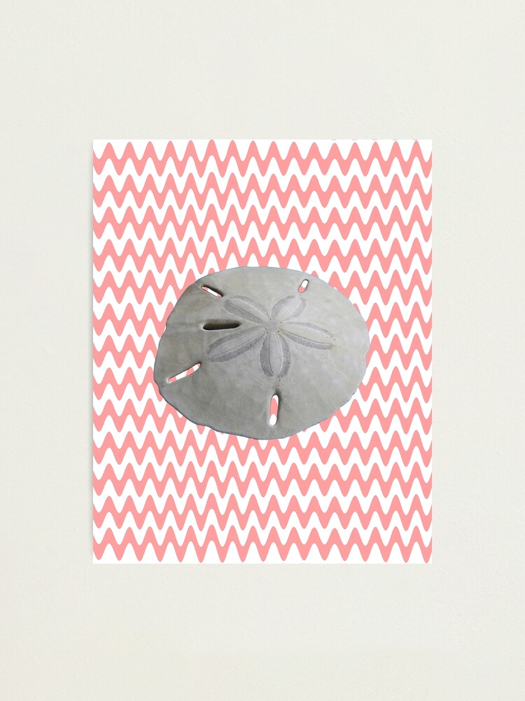 Alternate view of Sand Dollar Pink Waves Photographic Print