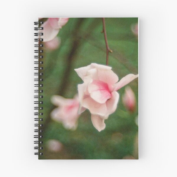 Item preview, Flowers & Bokeh designed and sold by FilmontheHill.