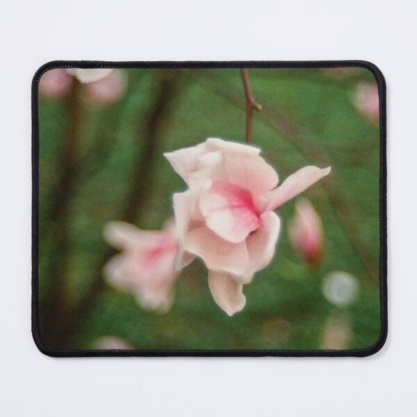 Item preview, Flowers & Bokeh designed and sold by FilmontheHill.