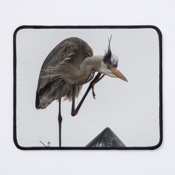 Item preview, Great Blue Heron with an Itch designed and sold by utakloss.