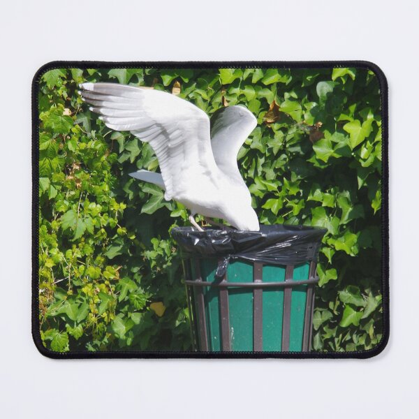 Item preview, Bin Raider - Seagull In Taunton, Somerset UK designed and sold by lezvee.