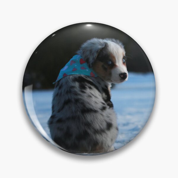Artikelvorschau, Oakley der australische Mini-Schäferhund #4 entworfen und verkauft von jeff7109.