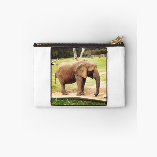 Aperçu de l'œuvre Elephant créée et vendue par RedSwallow.