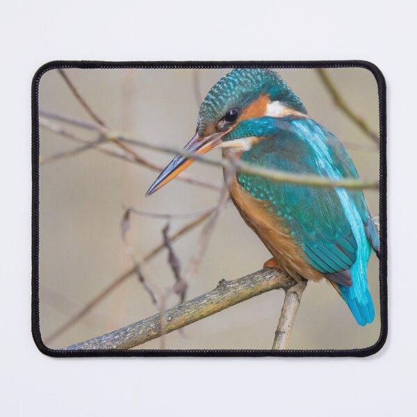 Item preview, Common Kingfisher designed and sold by LaurenTucker.