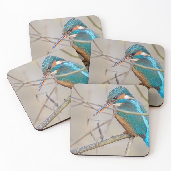 Item preview, Common Kingfisher designed and sold by LaurenTucker.