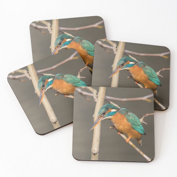 Item preview, Common Kingfisher designed and sold by LaurenTucker.