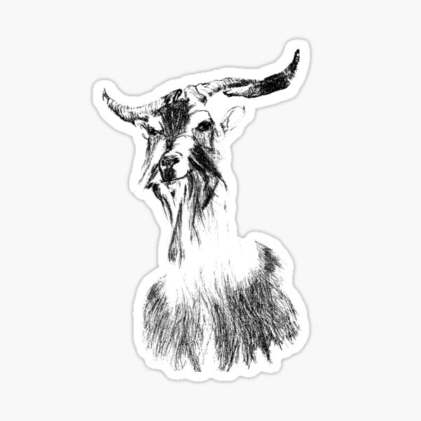 SCOBAR Brady Goat #10 T-Shirt, Hand-drawn, Printed in USA