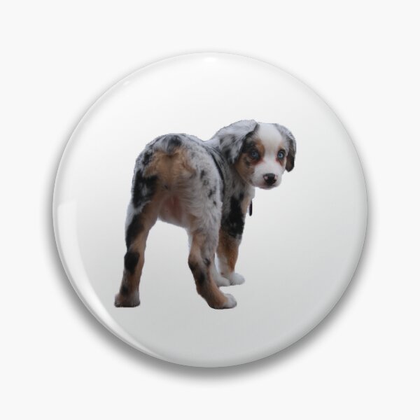 Artikelvorschau, Oakley der Mini-Australian Shepherd #5 entworfen und verkauft von jeff7109.