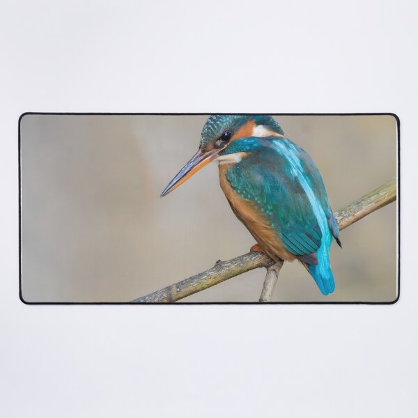 Item preview, Common Kingfisher designed and sold by LaurenTucker.