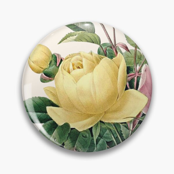 Item preview, Rosa Lutea and Rosa Indica | Lady Banks Rose and Cyme Rose | Pierre Joseph Redouté | Vintage Botanical Art Print designed and sold by LaMadeleine.