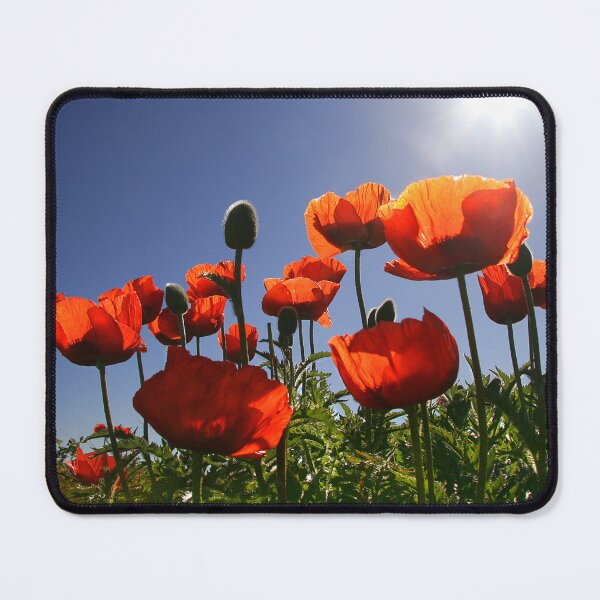 Item preview, Red Poppies designed and sold by CharlotteMorse.