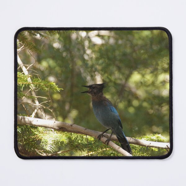 Item preview, Stellar's Jay - Whitney Portal designed and sold by Imthenats Photography and Art.