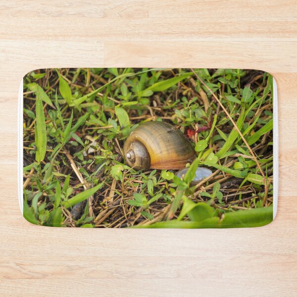 Item preview, Spiraling Apple Snail Shell designed and sold by TinyDinoDesigns.