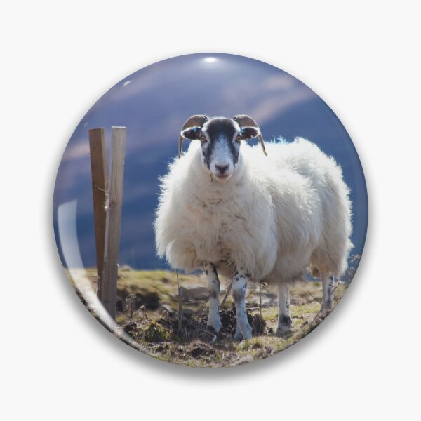 Item preview, Mountain Sheep....in the Mountains designed and sold by CharlotteMorse.