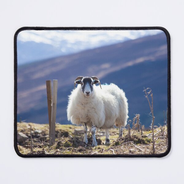 Item preview, Mountain Sheep....in the Mountains designed and sold by CharlotteMorse.