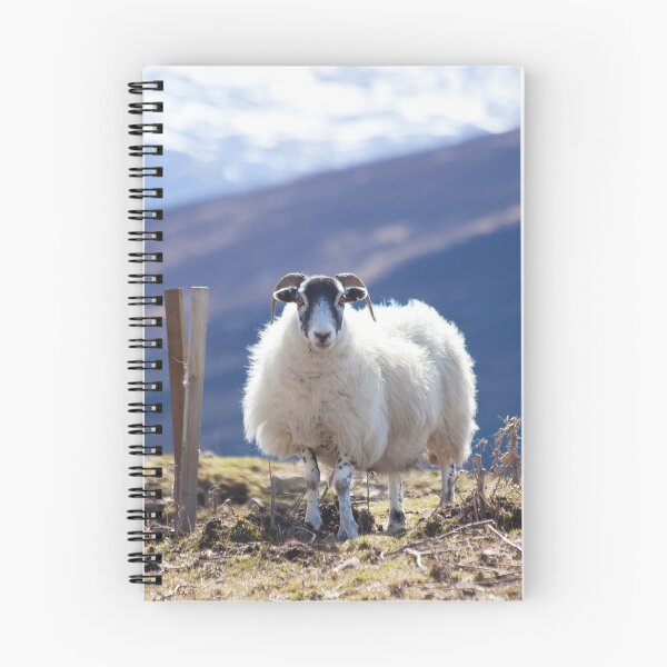 Item preview, Mountain Sheep....in the Mountains designed and sold by CharlotteMorse.