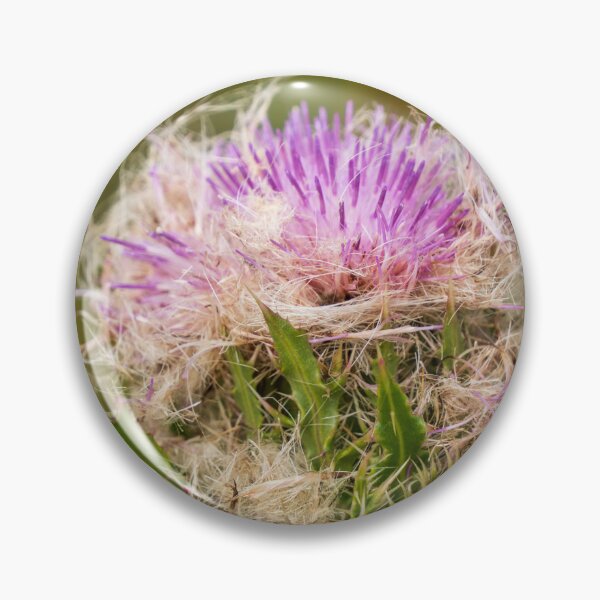 Item preview, Bristly Thistle | Everglades National Park designed and sold by TinyDinoDesigns.