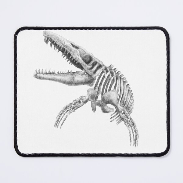 Item preview, mosasaurus skeleton designed and sold by TimeSkiff.