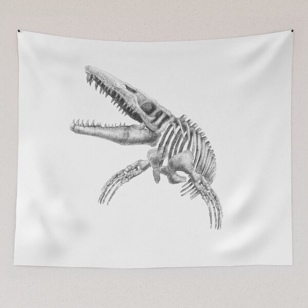 Item preview, mosasaurus skeleton designed and sold by TimeSkiff.