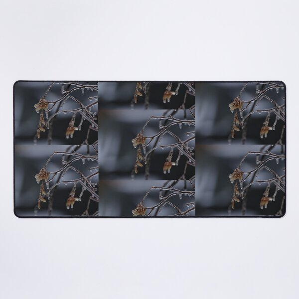 Item preview, Icicles designed and sold by J Rier Photography.