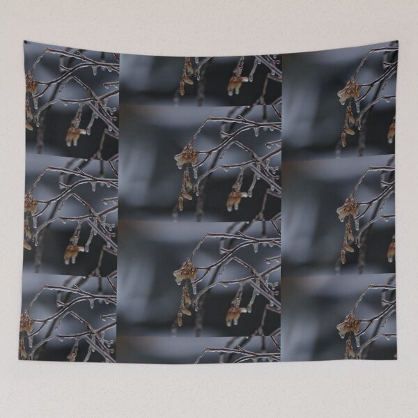 Item preview, Icicles designed and sold by J Rier Photography.