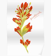 Paintbrush Poster