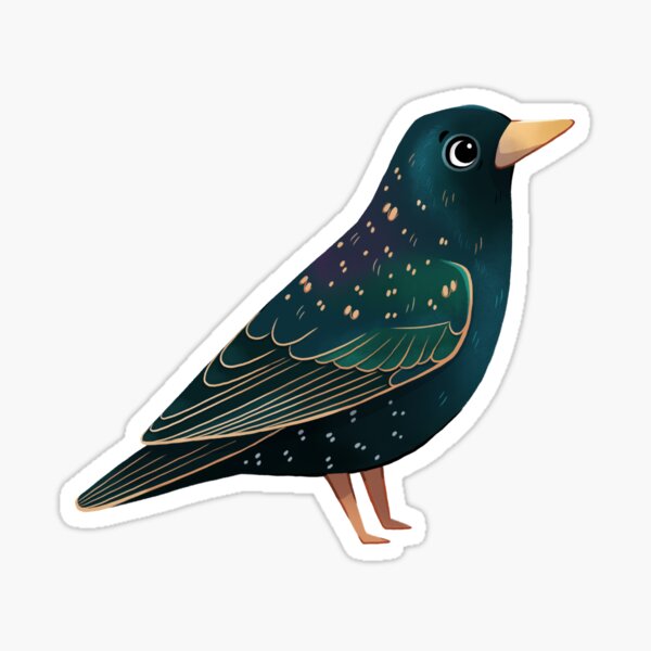 Starling Sticker
