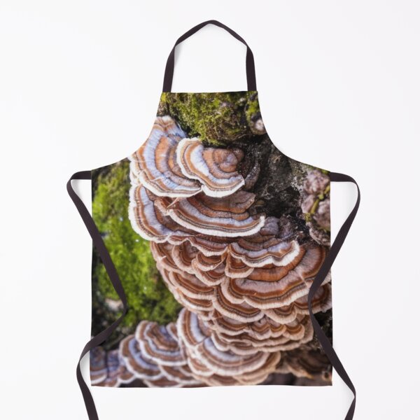 Item preview, Turkey Tail Mushrooms designed and sold by Fungal-Art.