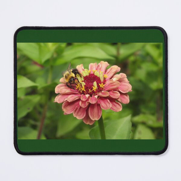 Item preview, Bee and flower designed and sold by Tlpphotos.